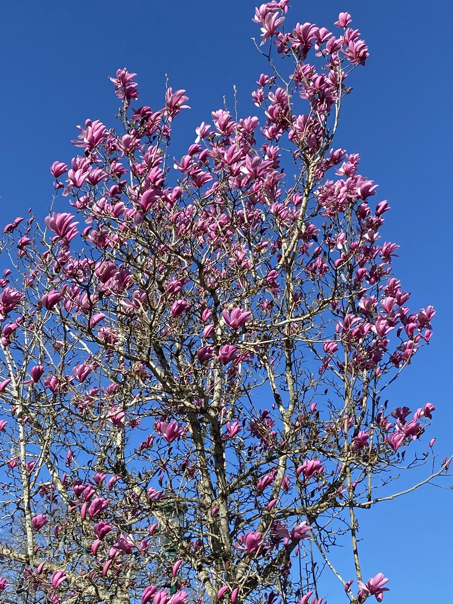 Lynn🇨🇦 tweet media