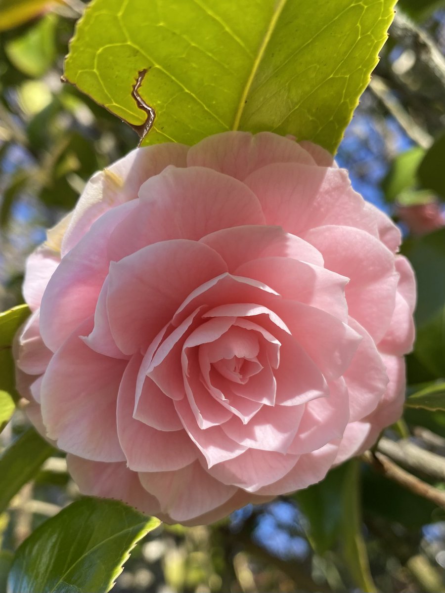 Lynn🇨🇦 tweet media