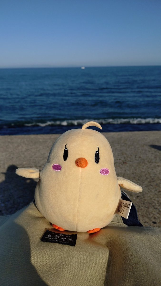 アルトー tweet media