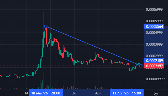 $SHISA has gained new traction starting on 15 Mar and is now holding tight on its support zone.

Massive Accumulation Zone + Bullish Structure Forming On Higher Timeframe. 

New ATH For "SHISA" Is Not A Question... It's Just A Matter Of Time 🔥

#bscmeme #memecoin #shib