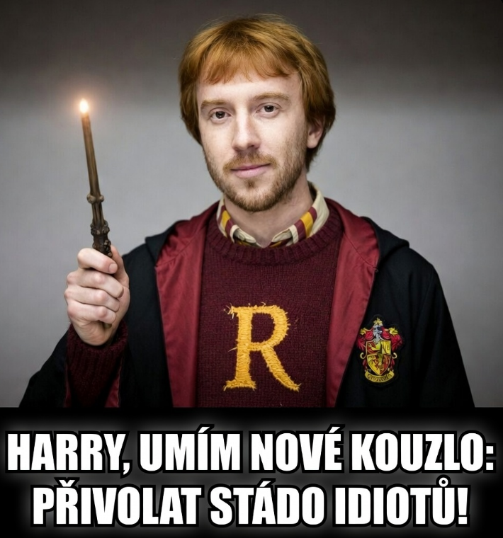 Fenny Sylvy (Fluffy Fenfen) tweet media