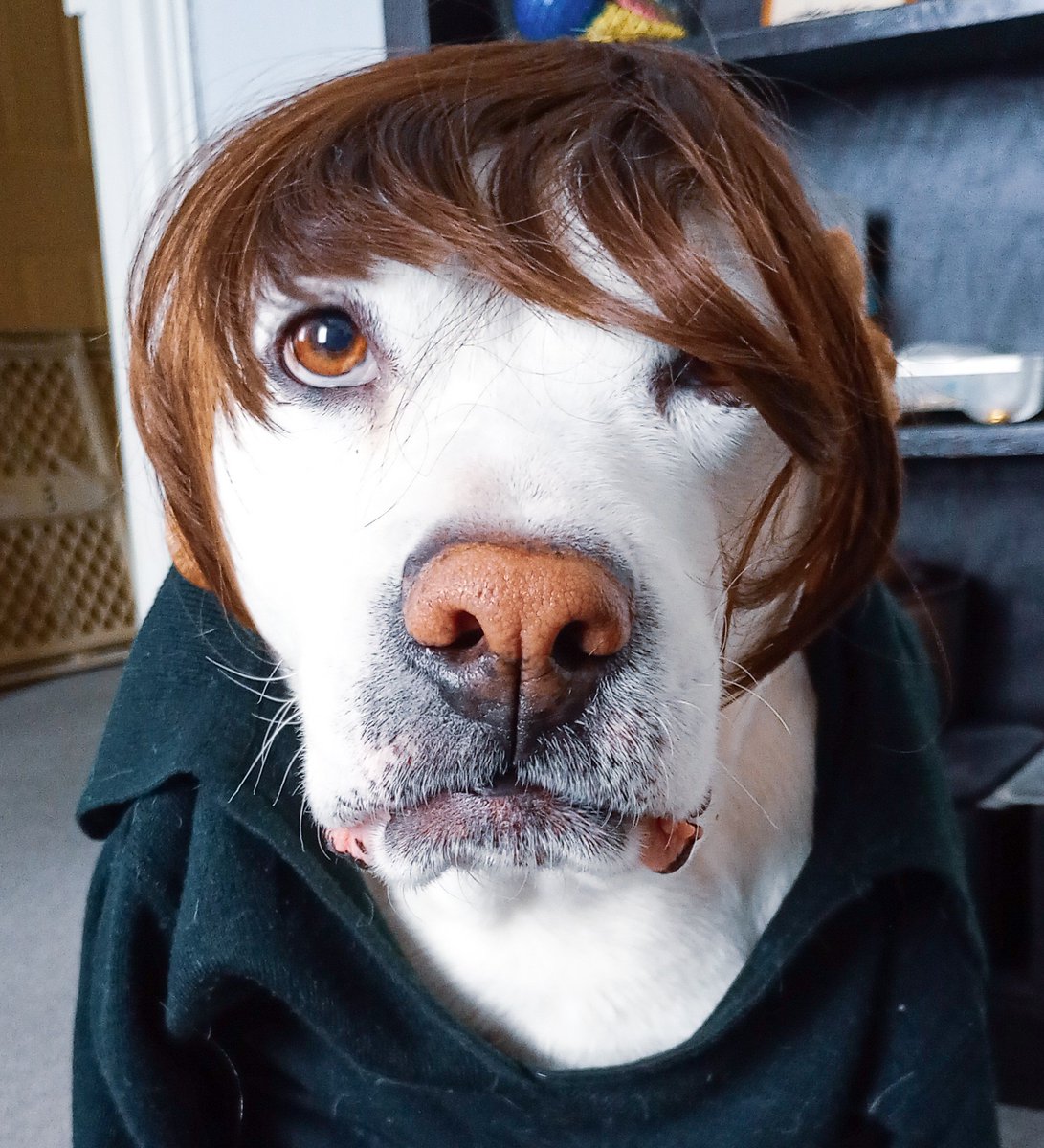 Bebee Pino tweet media