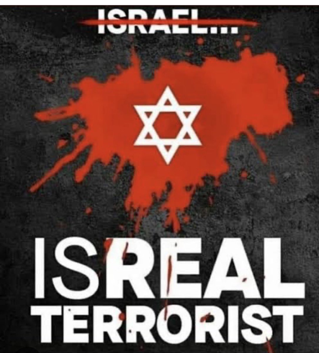 Savaş🇹🇷 tweet media