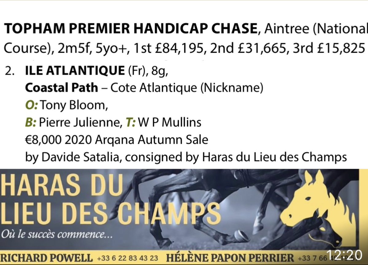 haras du Lieu des Champs tweet media
