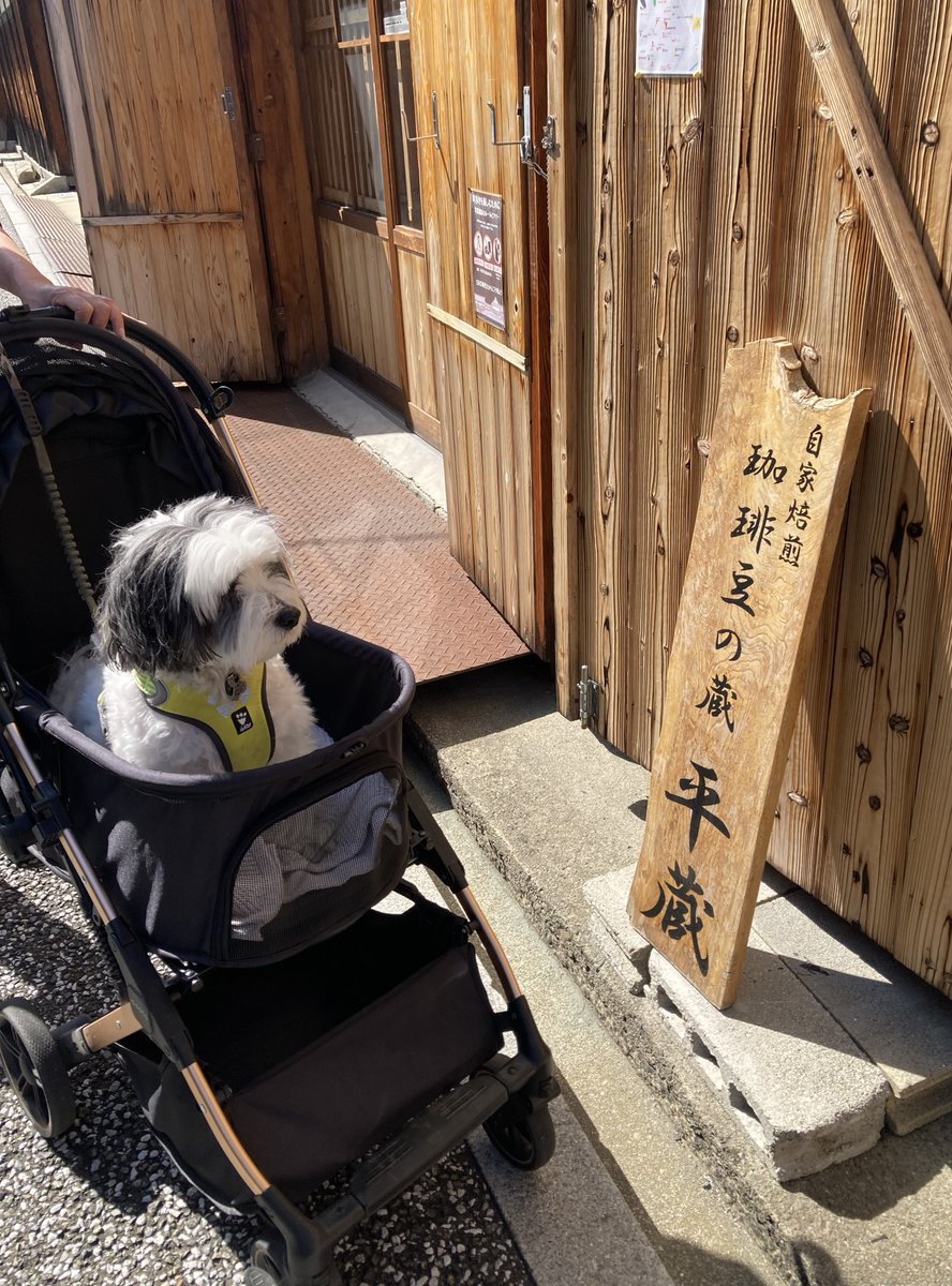 萬作ですけど、なにか⁇ tweet media