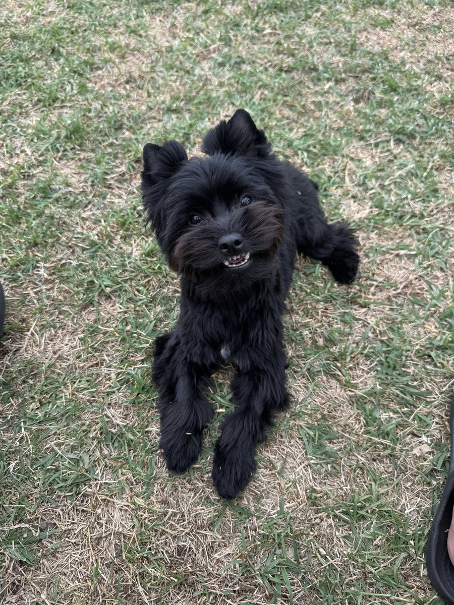 Trelynda Kerr tweet media