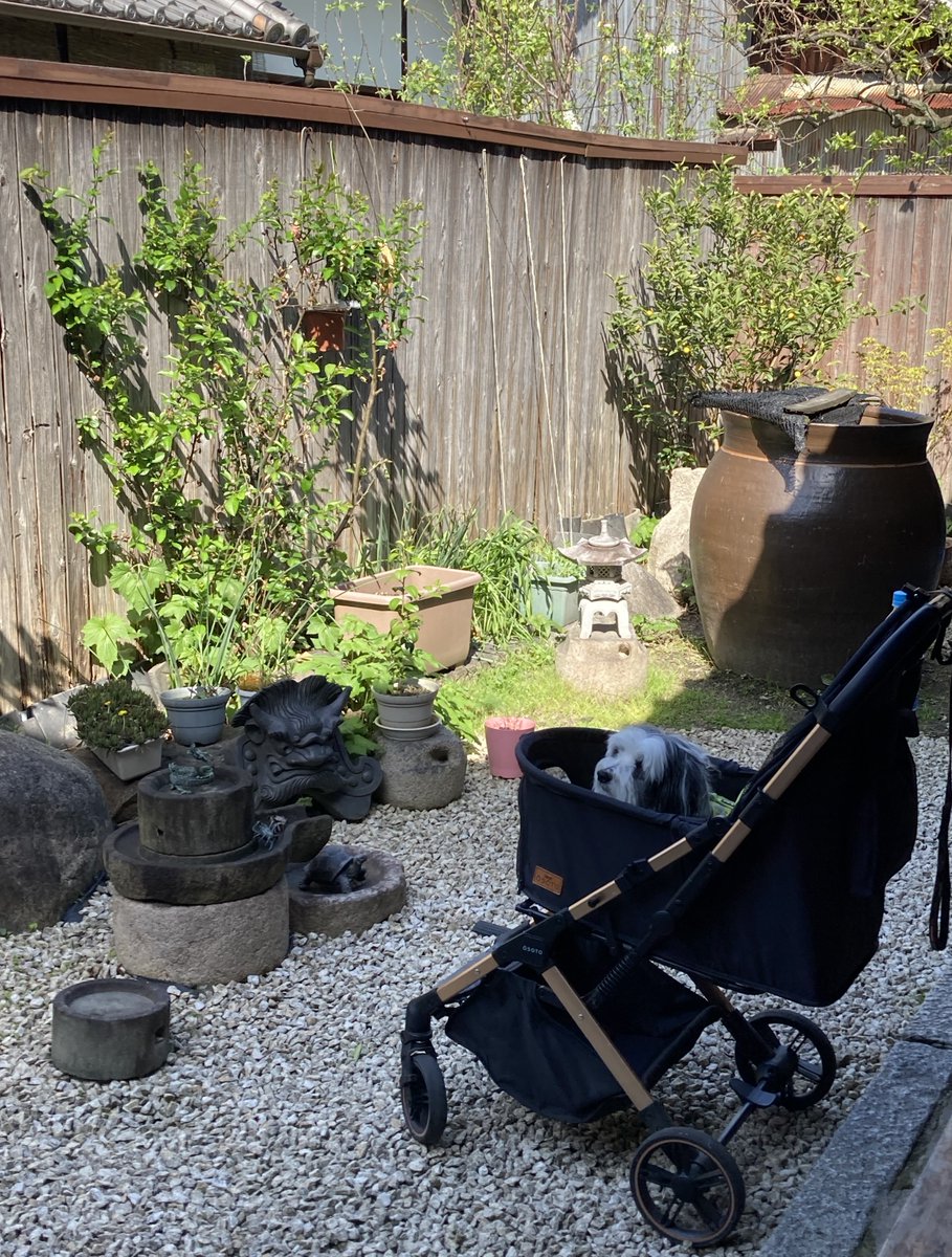 萬作ですけど、なにか⁇ tweet media