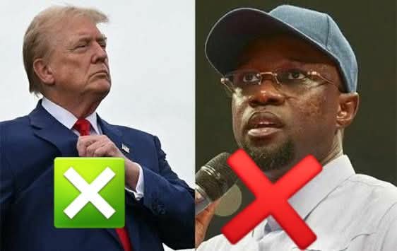 sagacité Sagacité tweet media