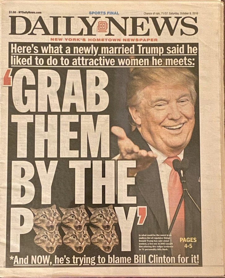 Panoramic tweet media