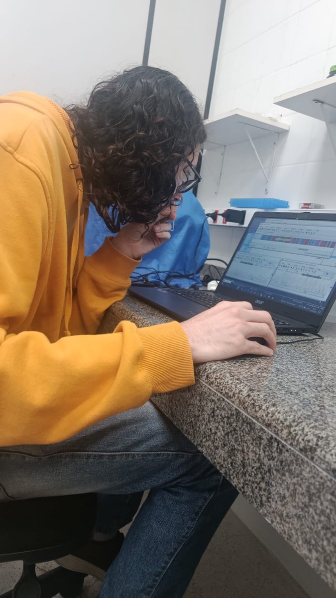 El Sapón tweet media