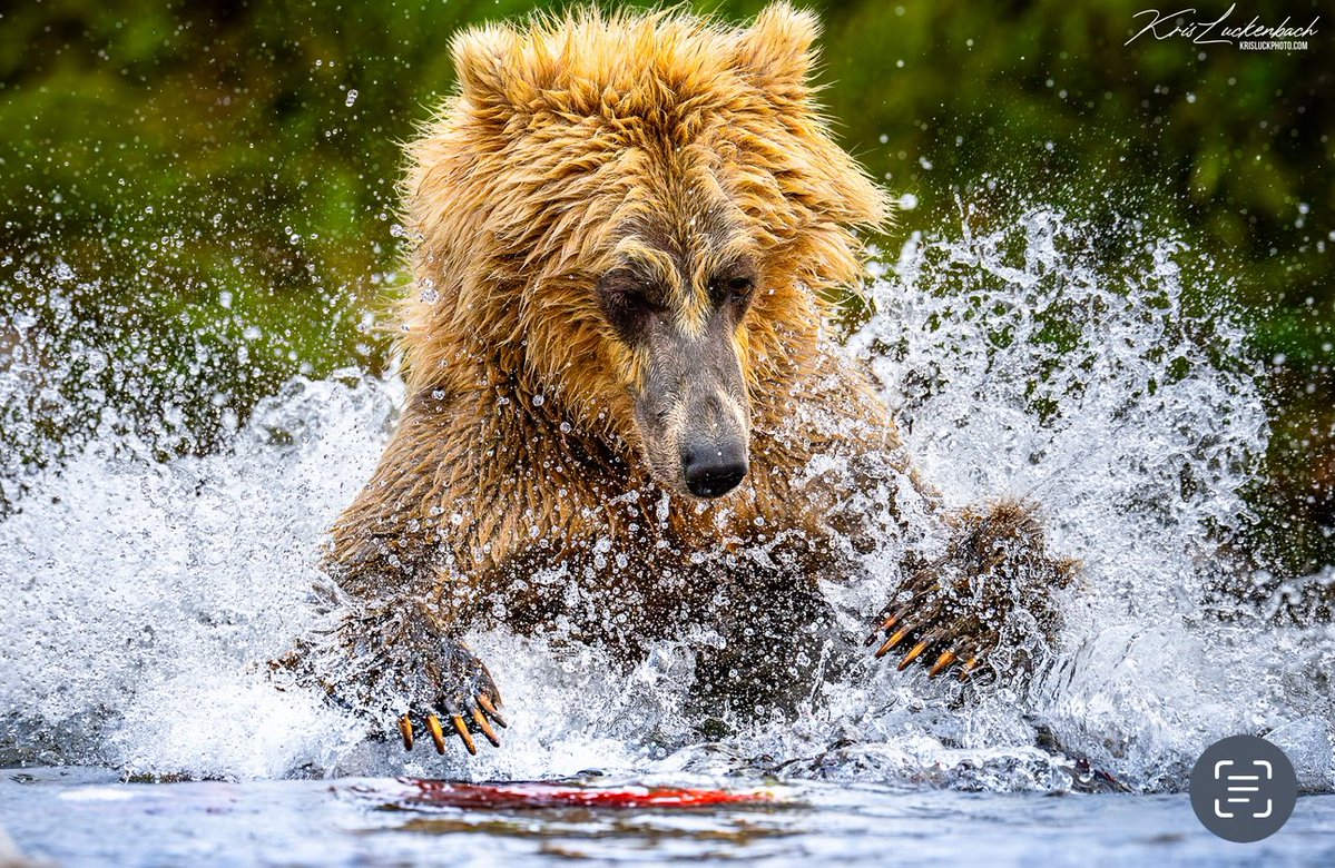 Kris Luckenbach tweet media