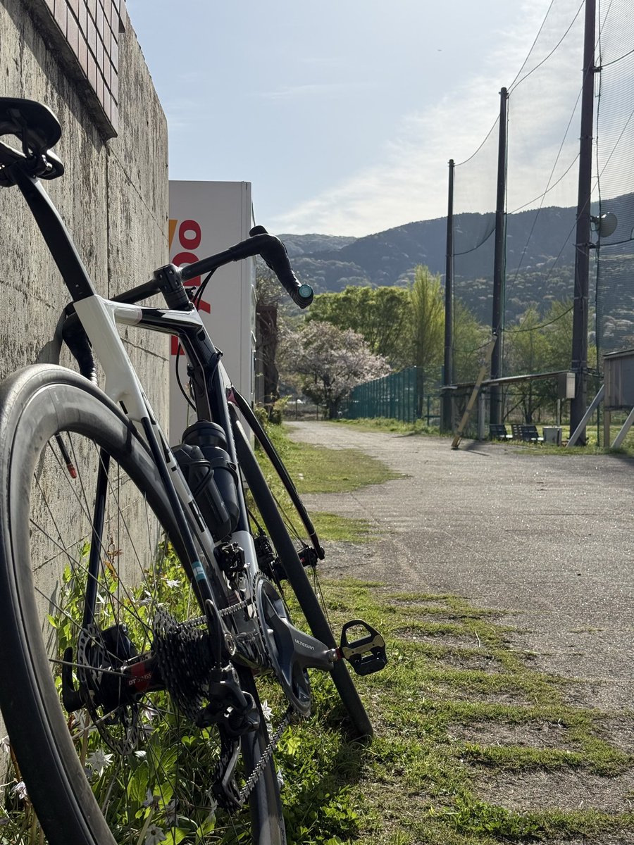 hey-coba? tweet media