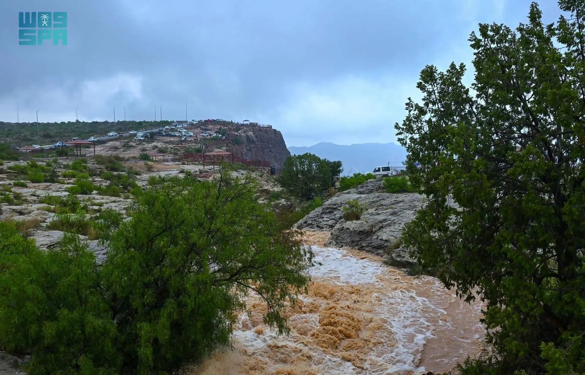 واس جودة الحياة tweet media