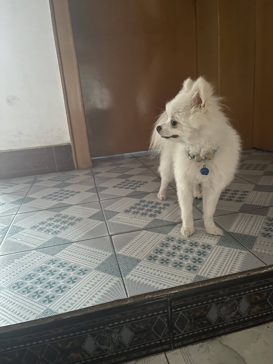 Debanjan De tweet media