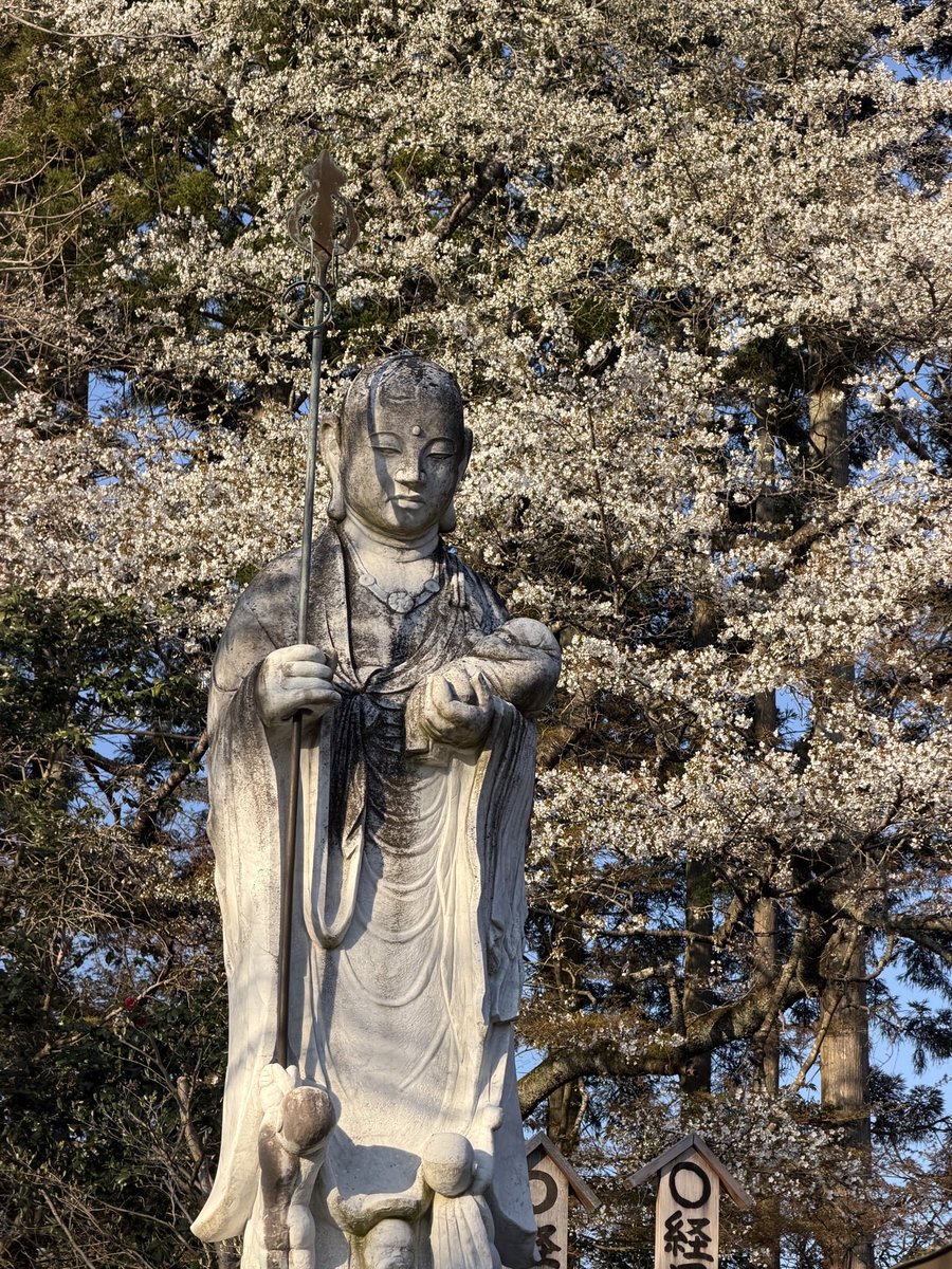 十六夜@松島の月 tweet media