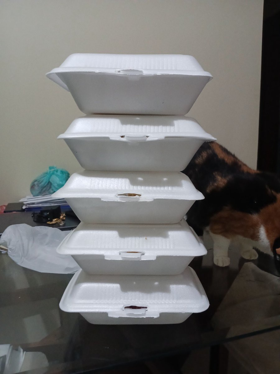 marys ★ tweet media