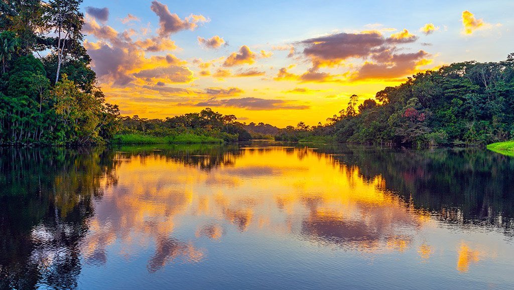 lica fonsyr #donodessacontafoimorto tweet media