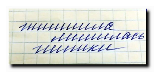 Это жы Лемус☝🤪😎🦊 tweet media