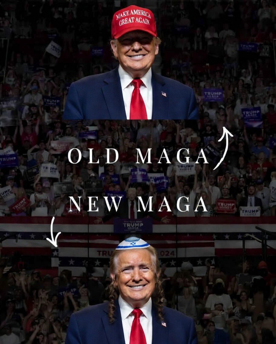 John (Anarcho Cat) tweet media