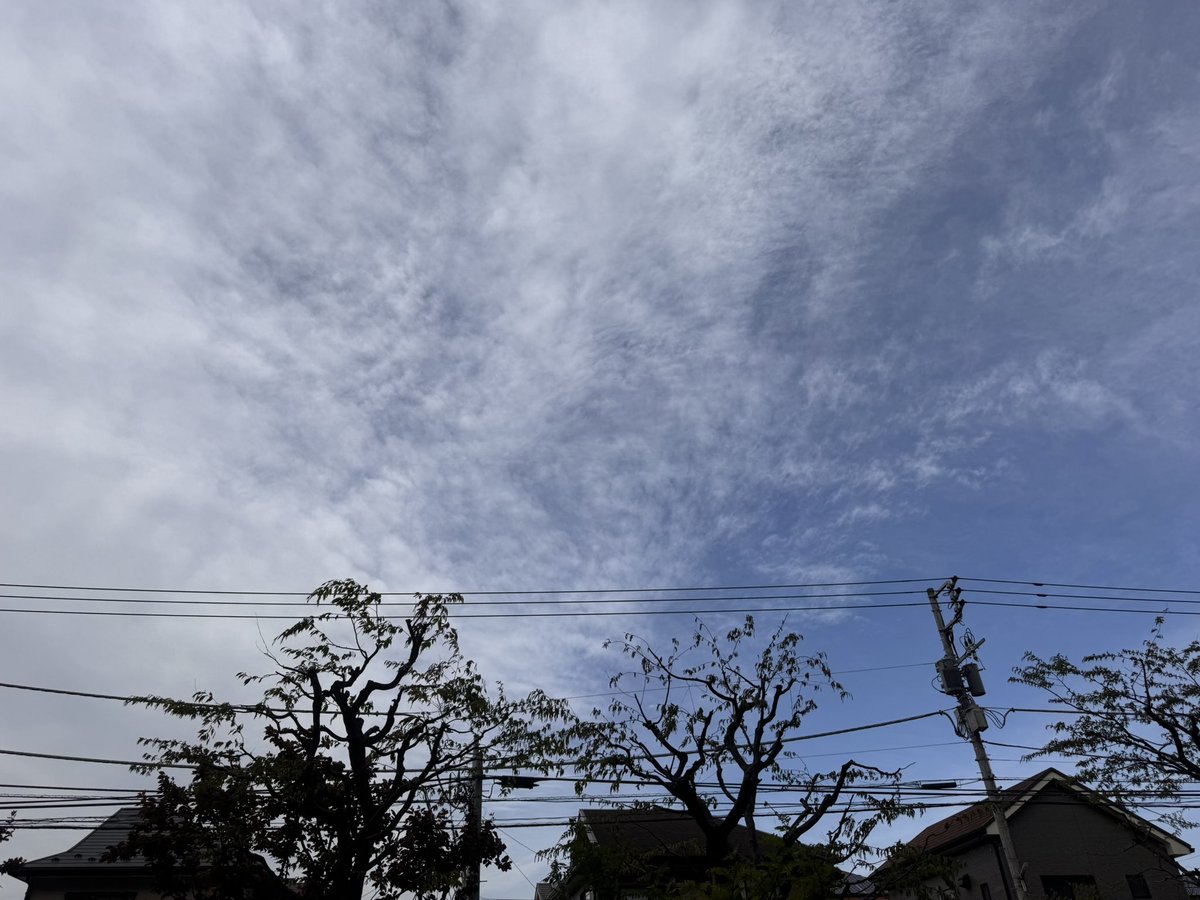 桜小路 tweet media