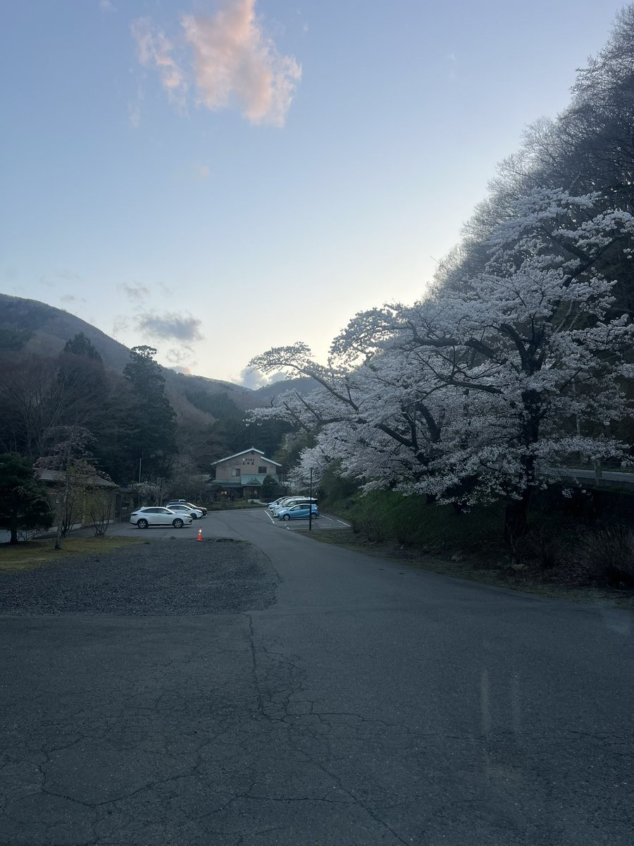 ざわざわ運送 tweet media
