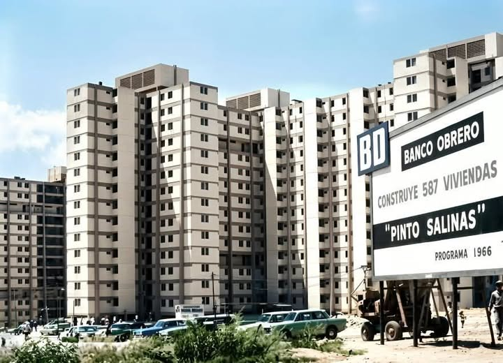 ♡ 𝑷𝒂𝒐𝒍𝒂 𝑪𝒂𝒔𝒕𝒓𝒐 • tweet media