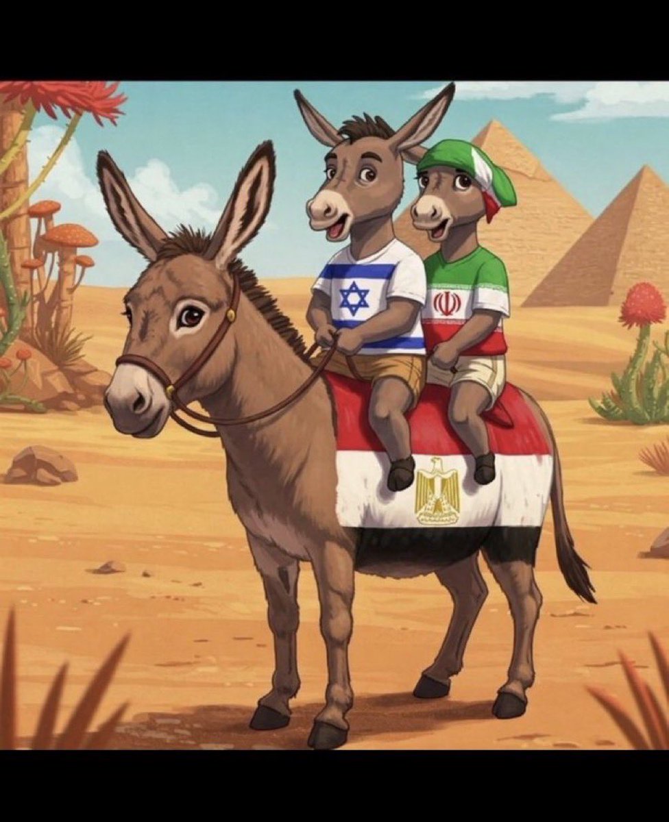 Better Call Me⚖️ tweet media