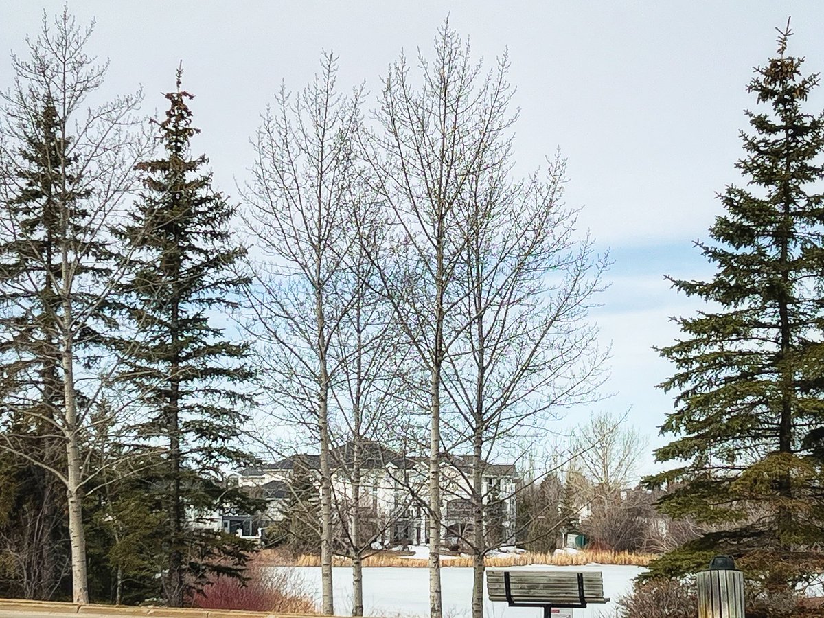 Rachel H. (Rach) tweet media