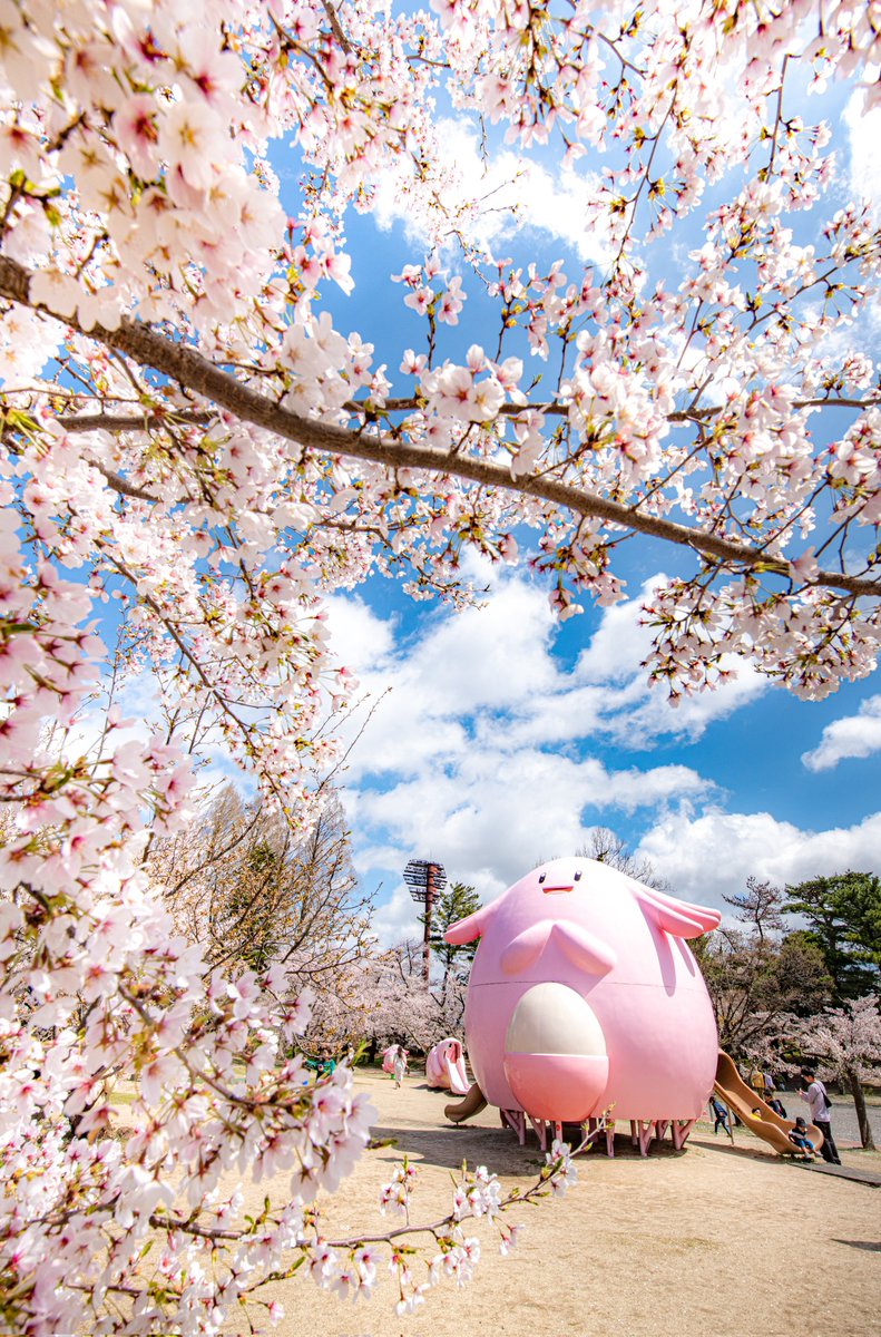 ハスカップ07 tweet media