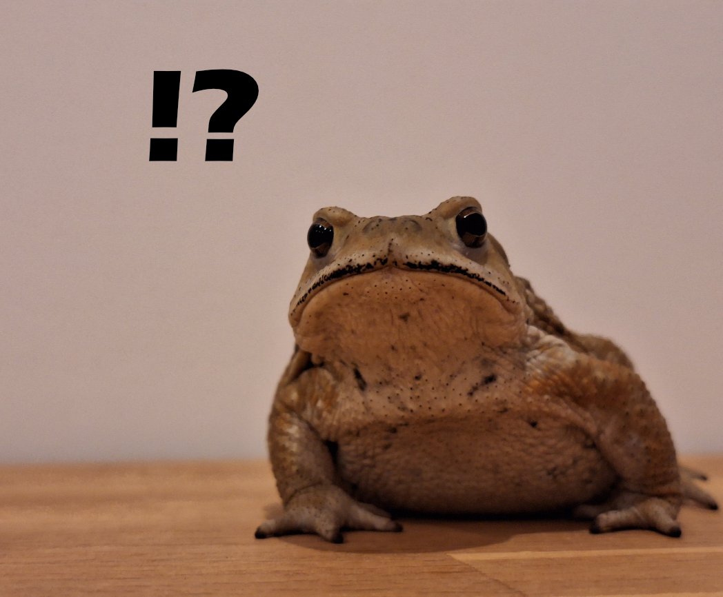 MechFrog tweet media