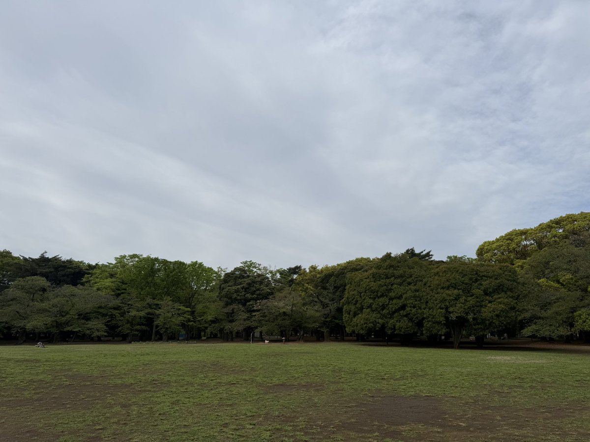 おはようございます