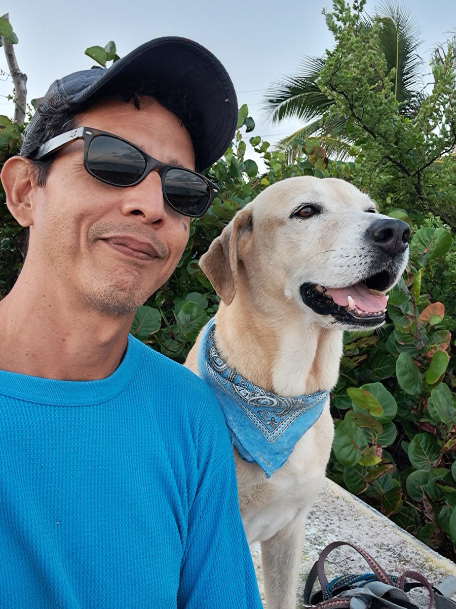 rolando 🌴 tweet media