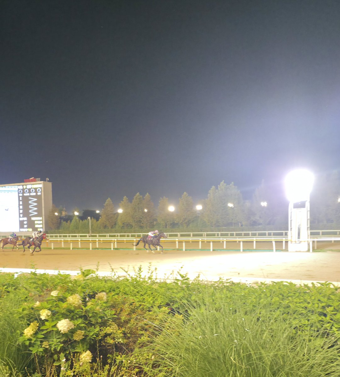 가나시스(ガナシス) tweet media