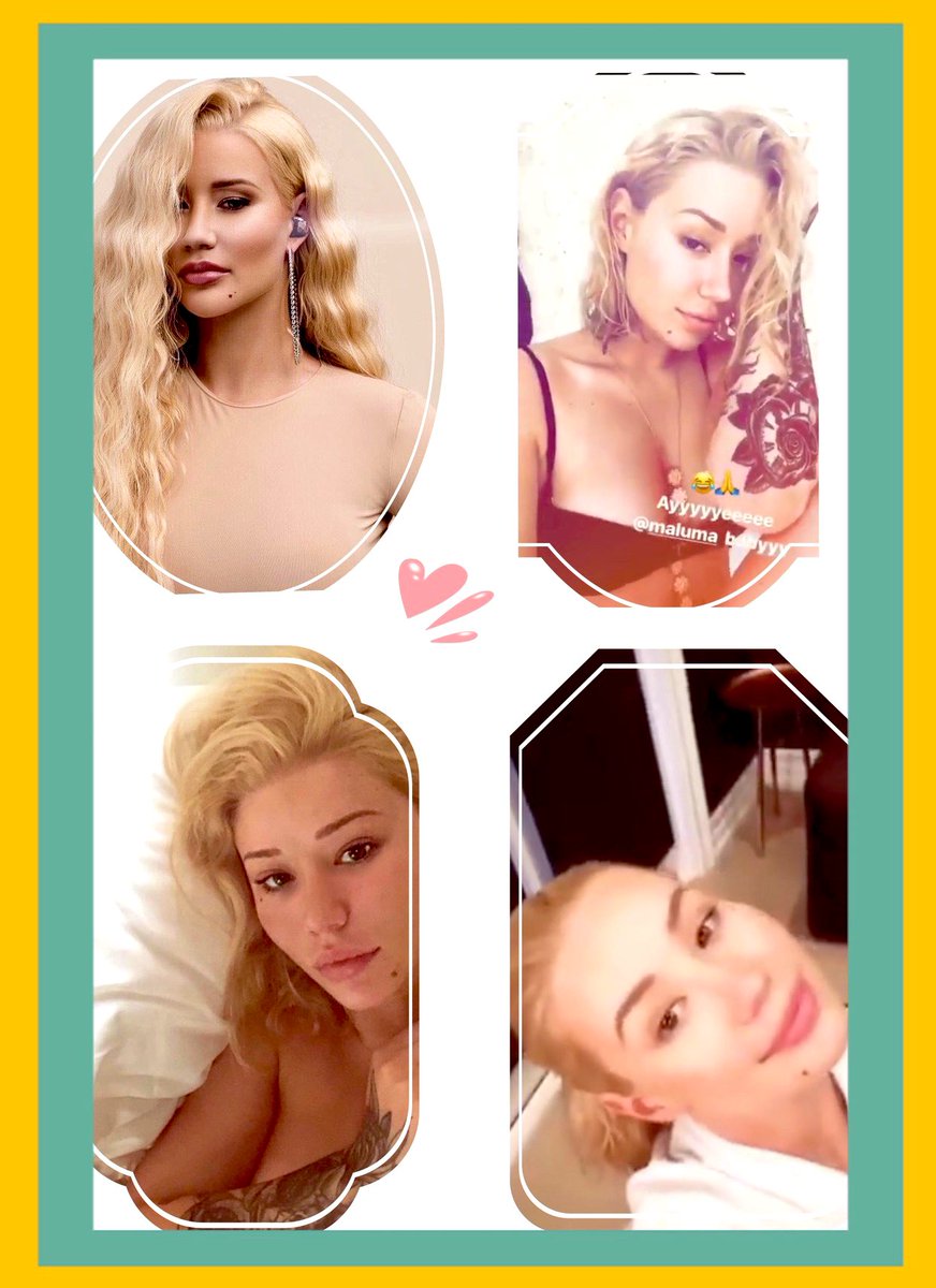 TheresaIggy tweet media