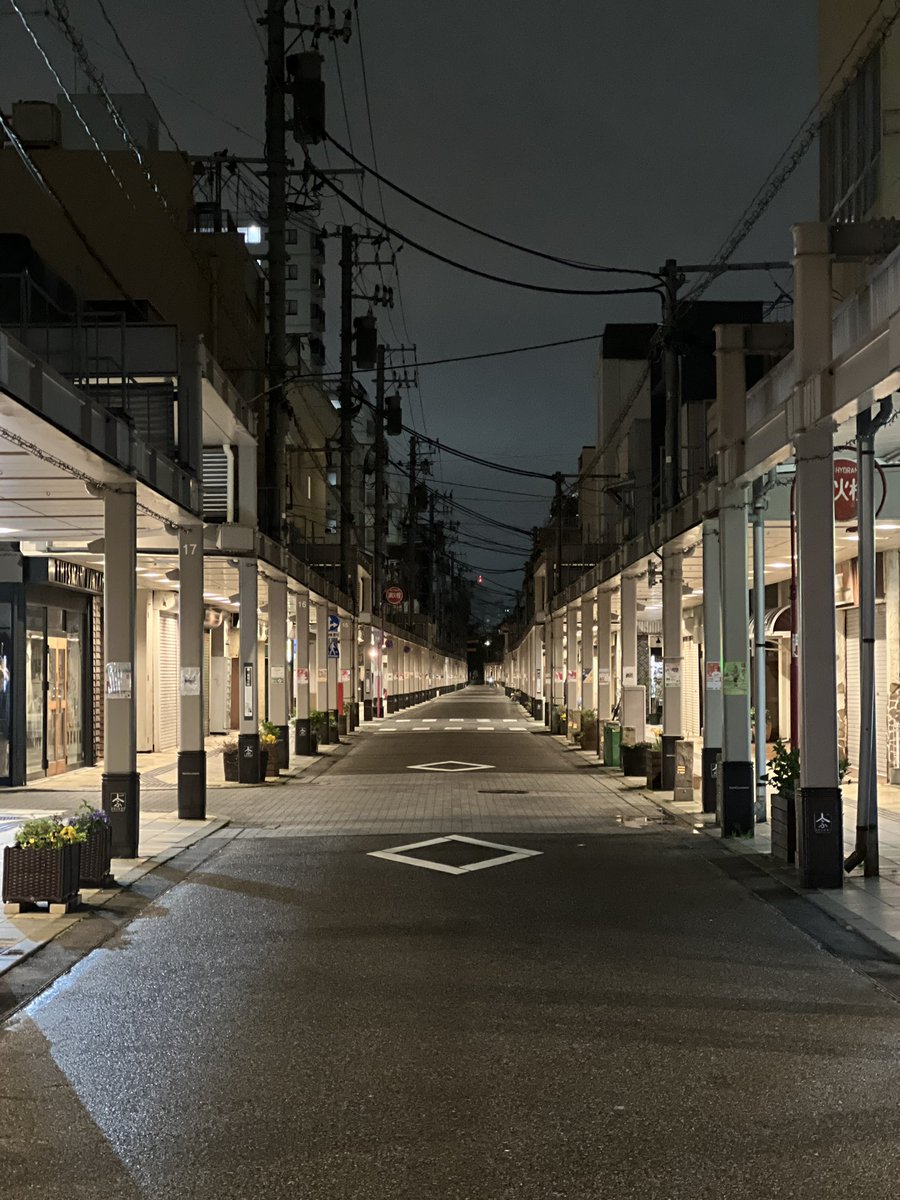 aoishobook's tweet photo. #ケノプシア https://t.co/1FdGt8UP7D