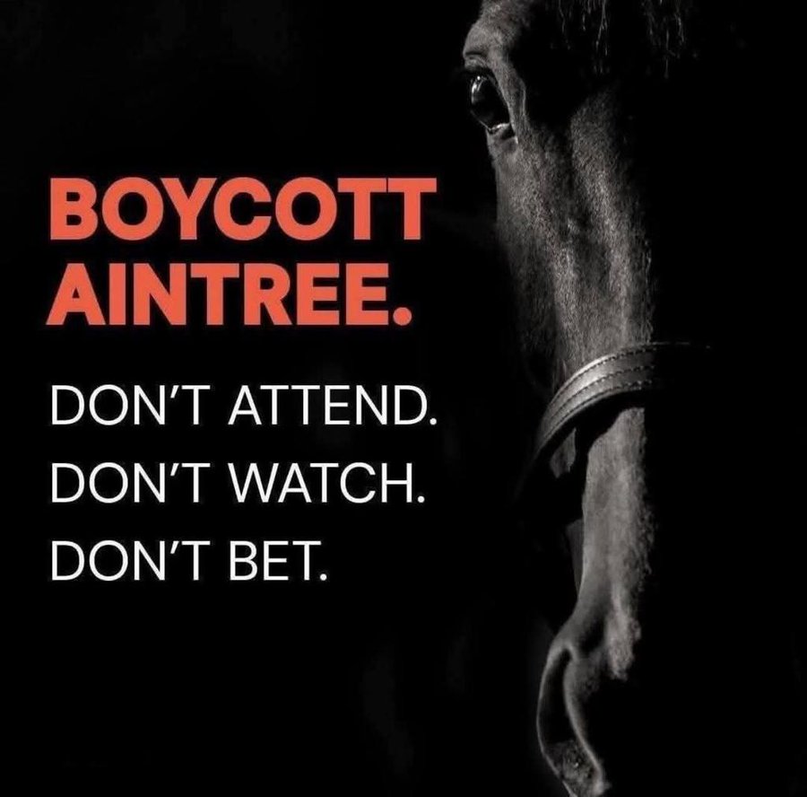 Emma Saunders tweet media