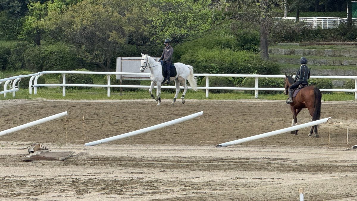 tymhy0727's tweet photo. 息子の家に泊まり今朝は大阪市内までランニング🏃‍♂️馬事公園があり美しいサラブレッド🐎と遭遇。のんびり歩くサラブレッド見て癒され中🥰帰宅したら桜花賞の予想でもしよう👍 https://t.co/bZummJctfr