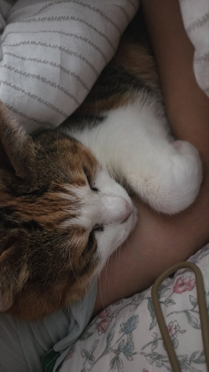 아침부터 팔 떨어지겠지만 행복함🩵🤍