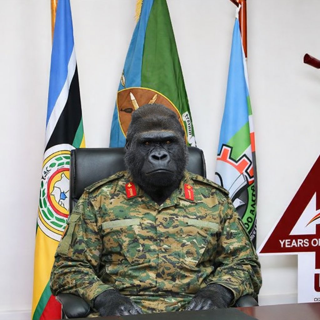 guriceelpoi tweet media