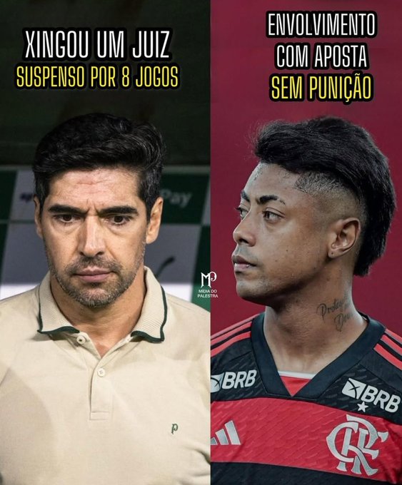 AlexZeira tweet media