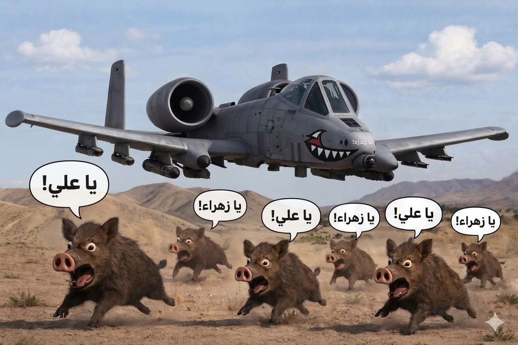 Better Call Me⚖️ tweet media