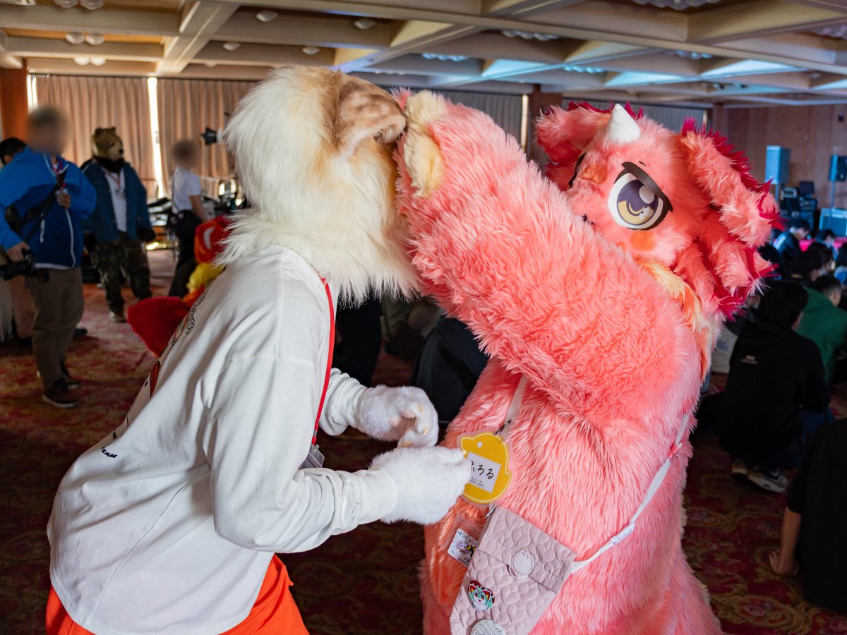 FLEET(ねこのすがた) tweet media