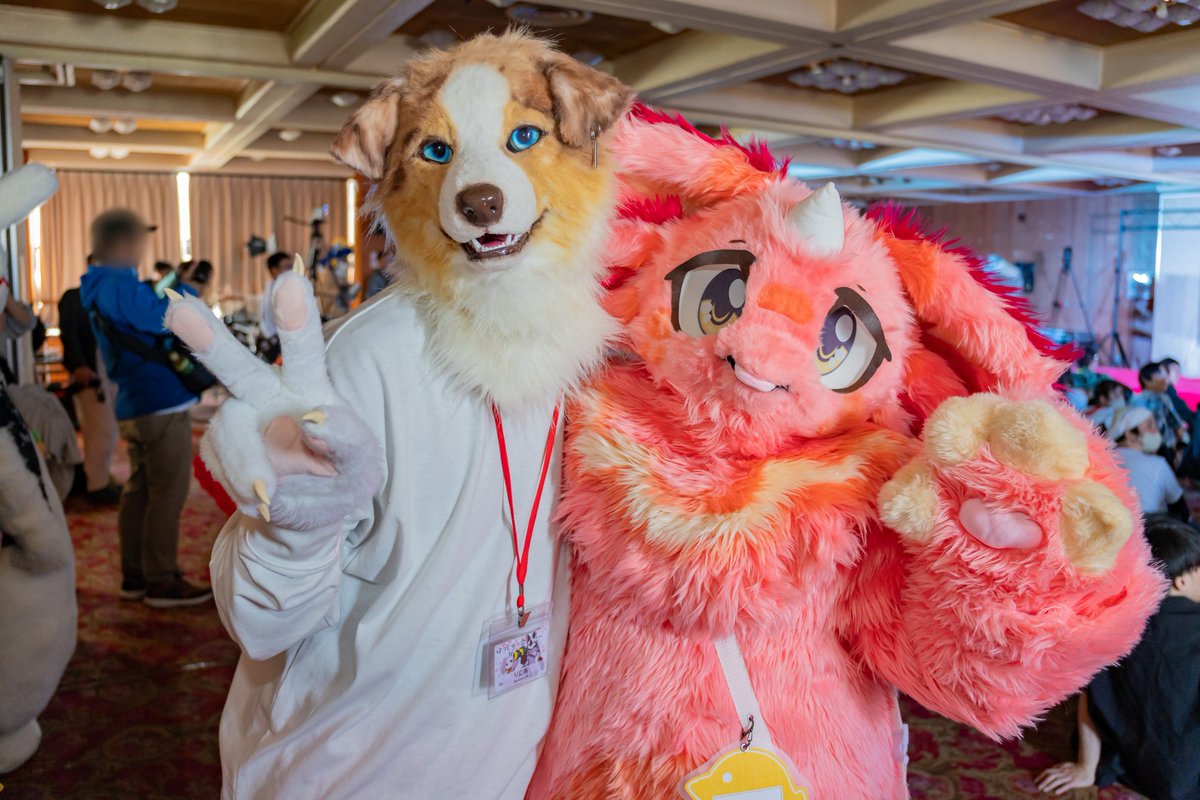 FLEET(ねこのすがた) tweet media