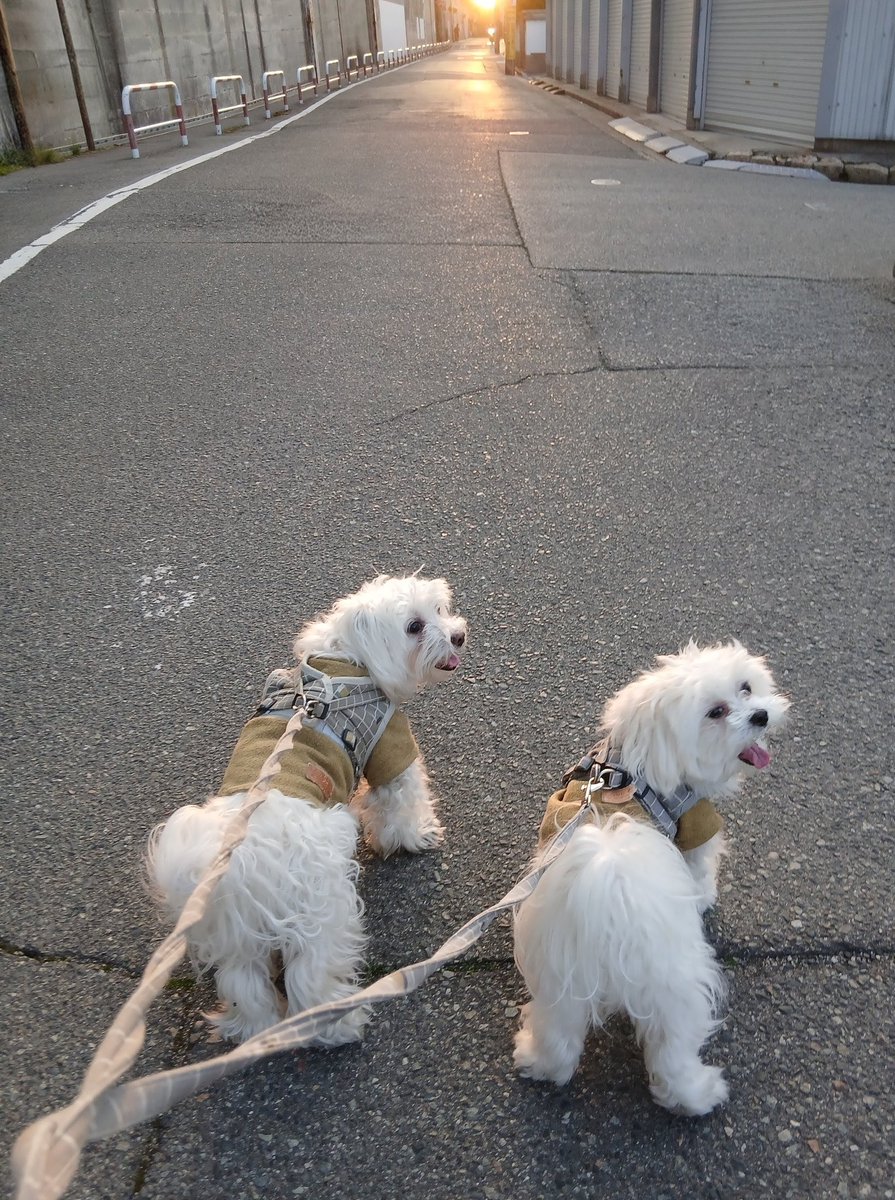 かこりん✨コンティニューキャリア/健康と仕事と人生と tweet media