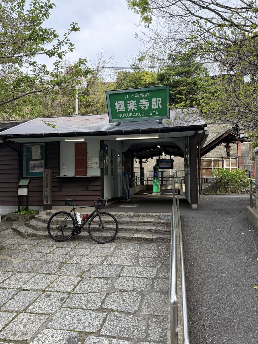 ナオキ🤡 tweet media