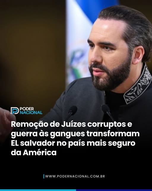 Senso Crítico ⚡ tweet media
