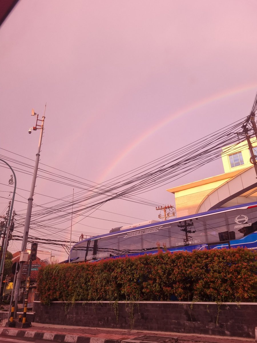 kina🌳🦋 tweet media