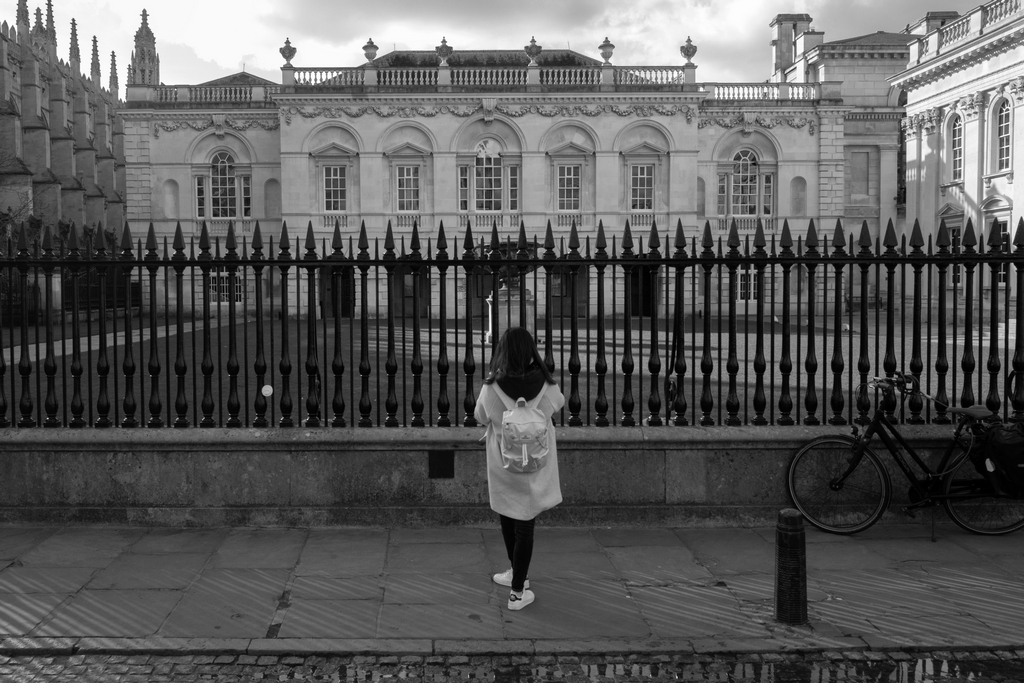 Dave Webb tweet media