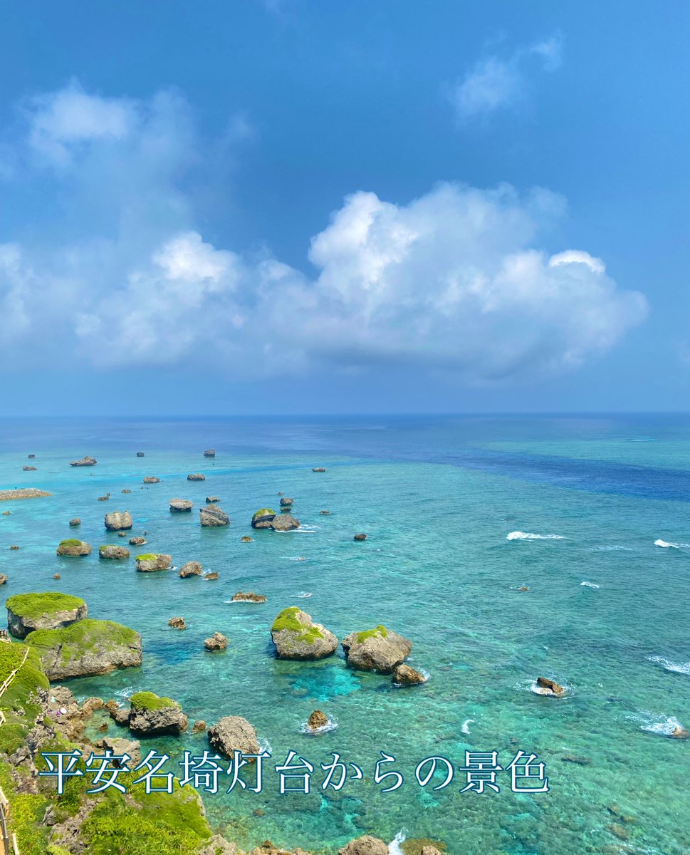 HapiTea(ハピティー) tweet media