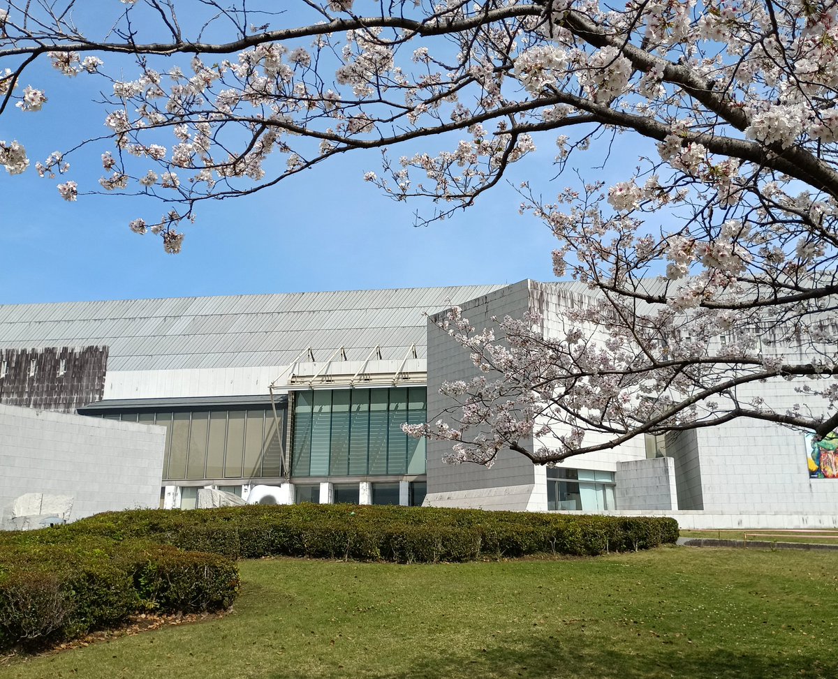 Cherry blossoms were in full bloom. I took a picture with the art museum in the background. I had a solo exhibition of paintings here. I will try again.
#cherrybrossoms
過日、家族と桜満開の公園へ。ここで個展してから、もう1年だ！と美術館を背景に。いつかまた、やりたい。
#桜　#個展